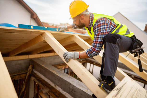 Best Roof Gutter Cleaning  in Dakota City, NE