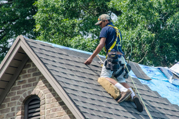 Best Emergency Roof Repair  in Dakota City, NE